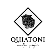 Logo de Quiatoni